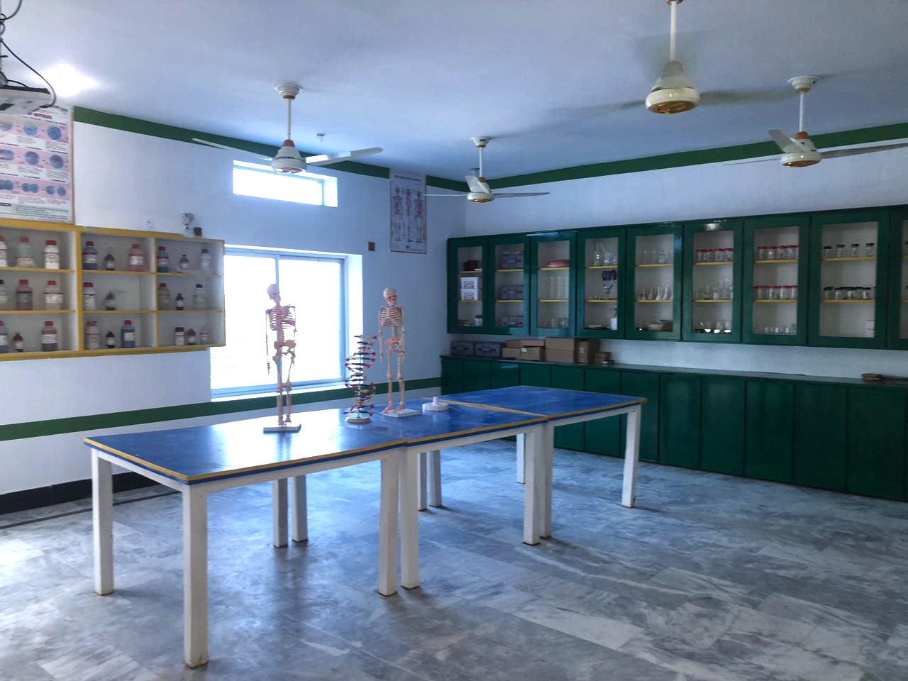 Gallery Photo 3
