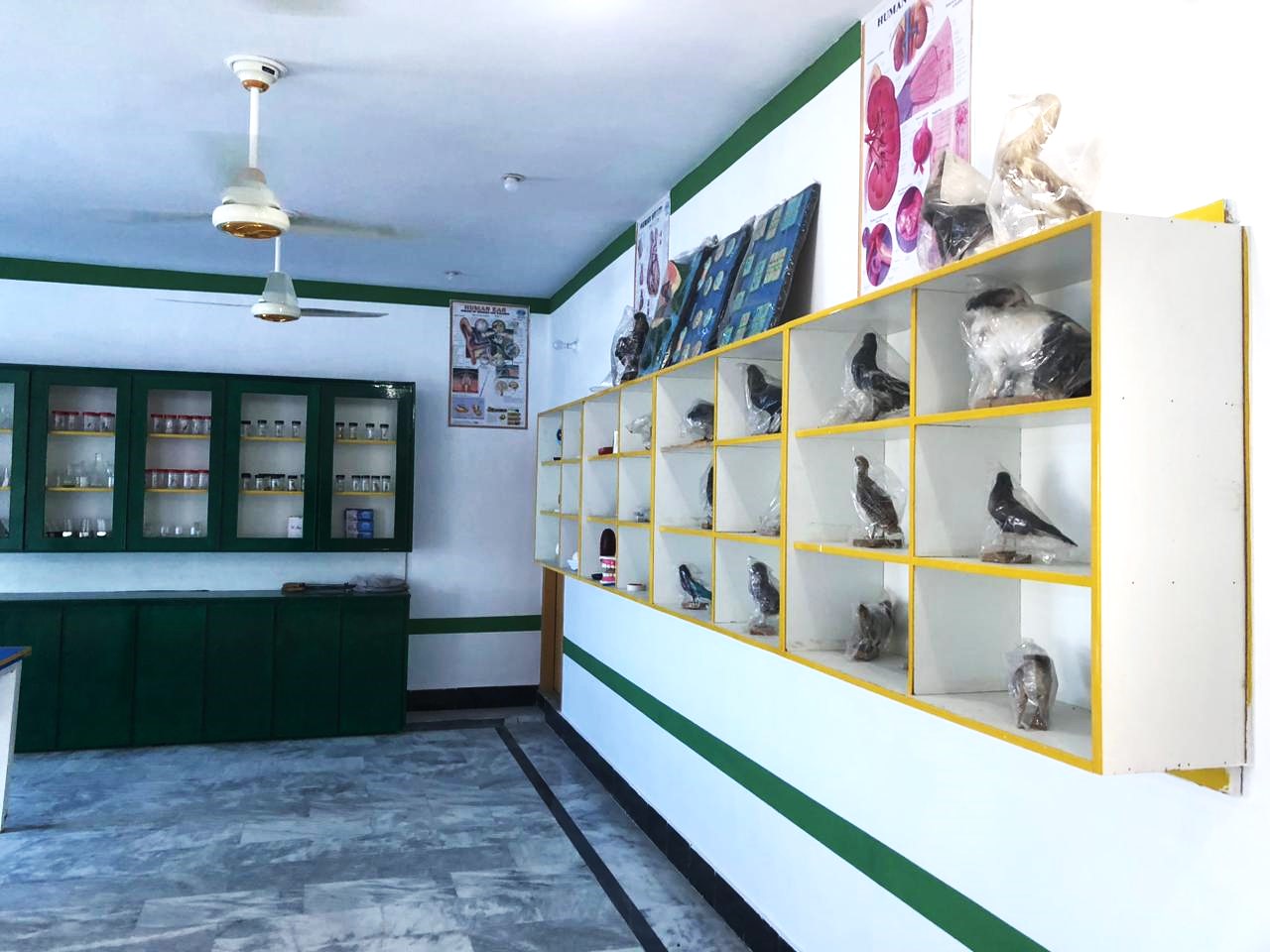 Gallery Photo 2